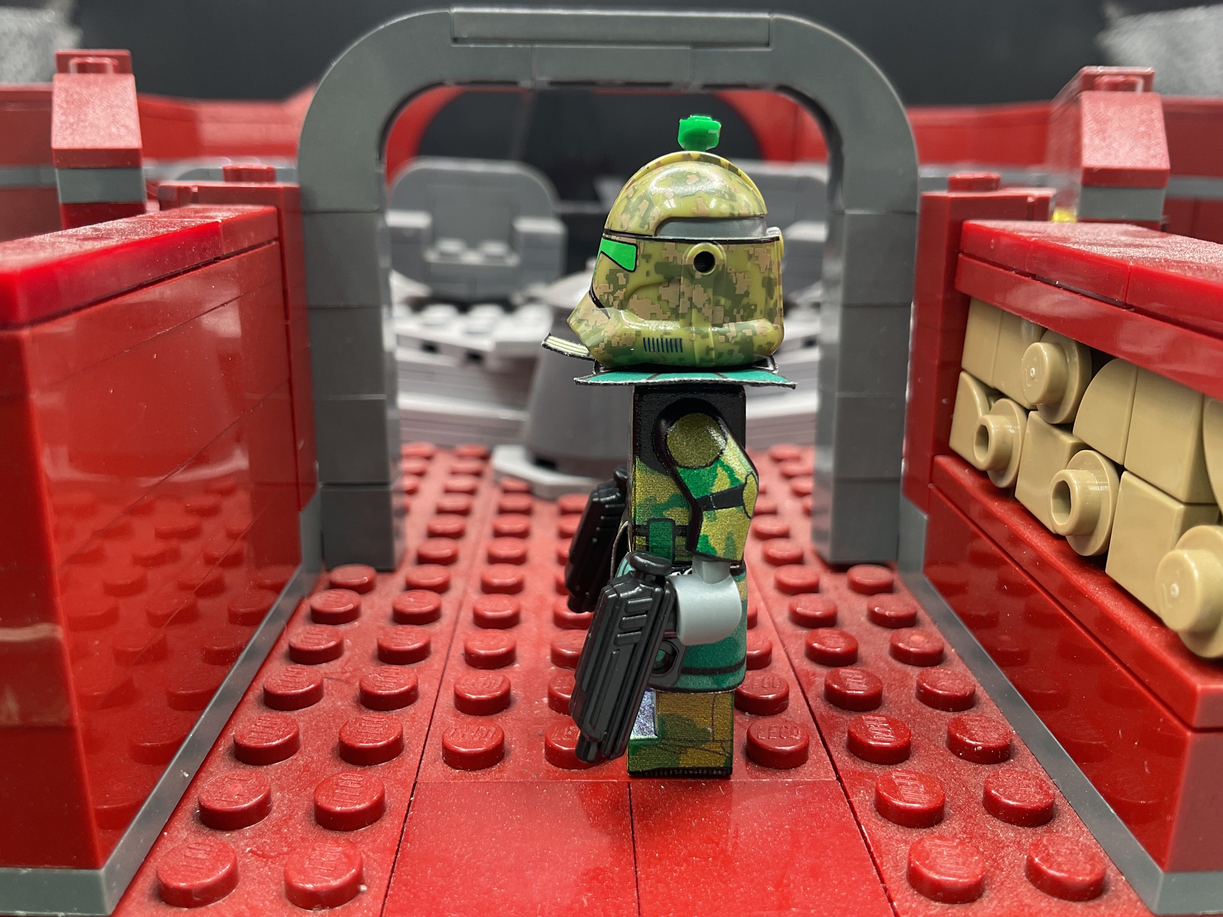 Kashyyyk Arc “Flinz”