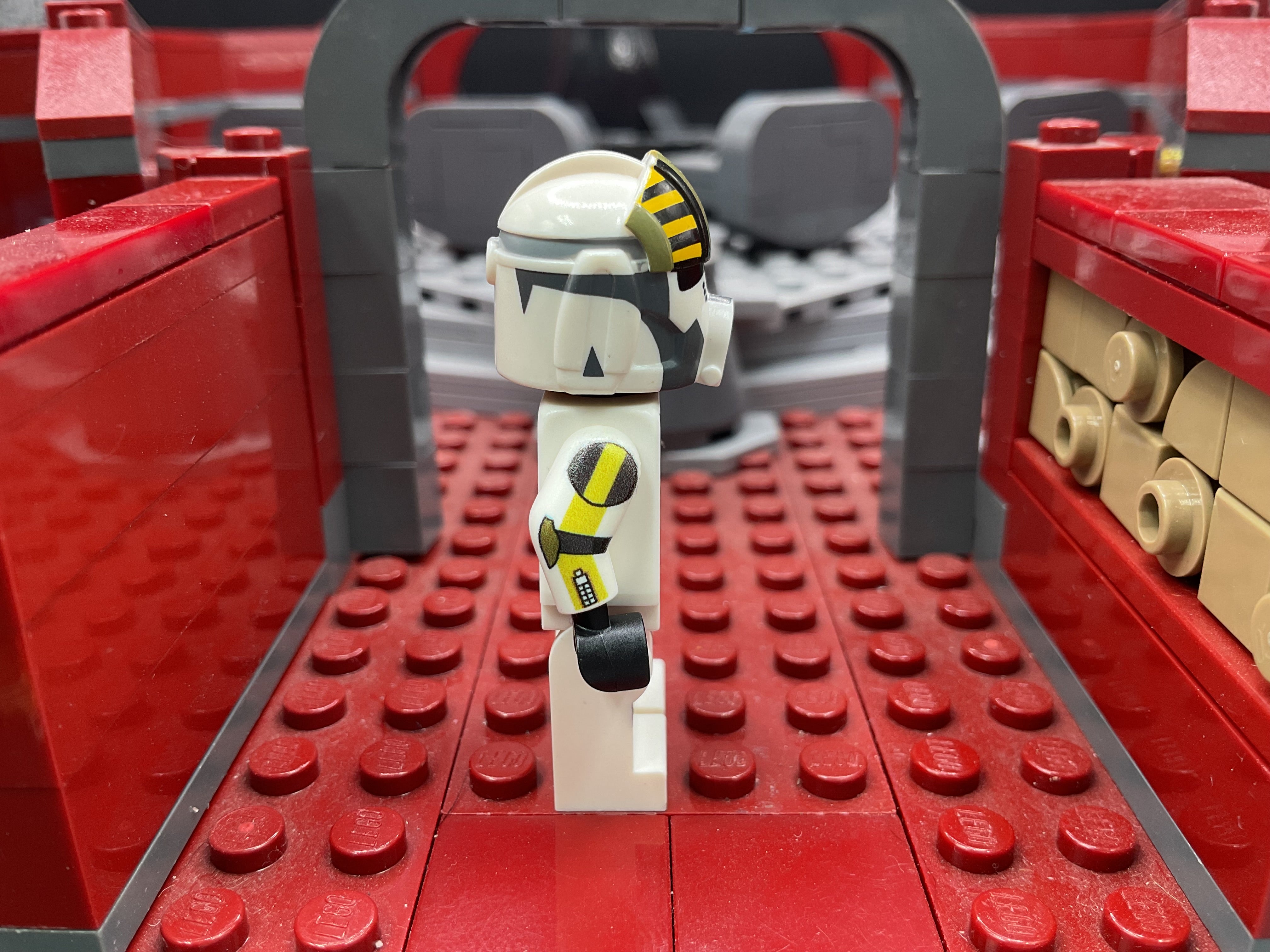 P2 Hazard