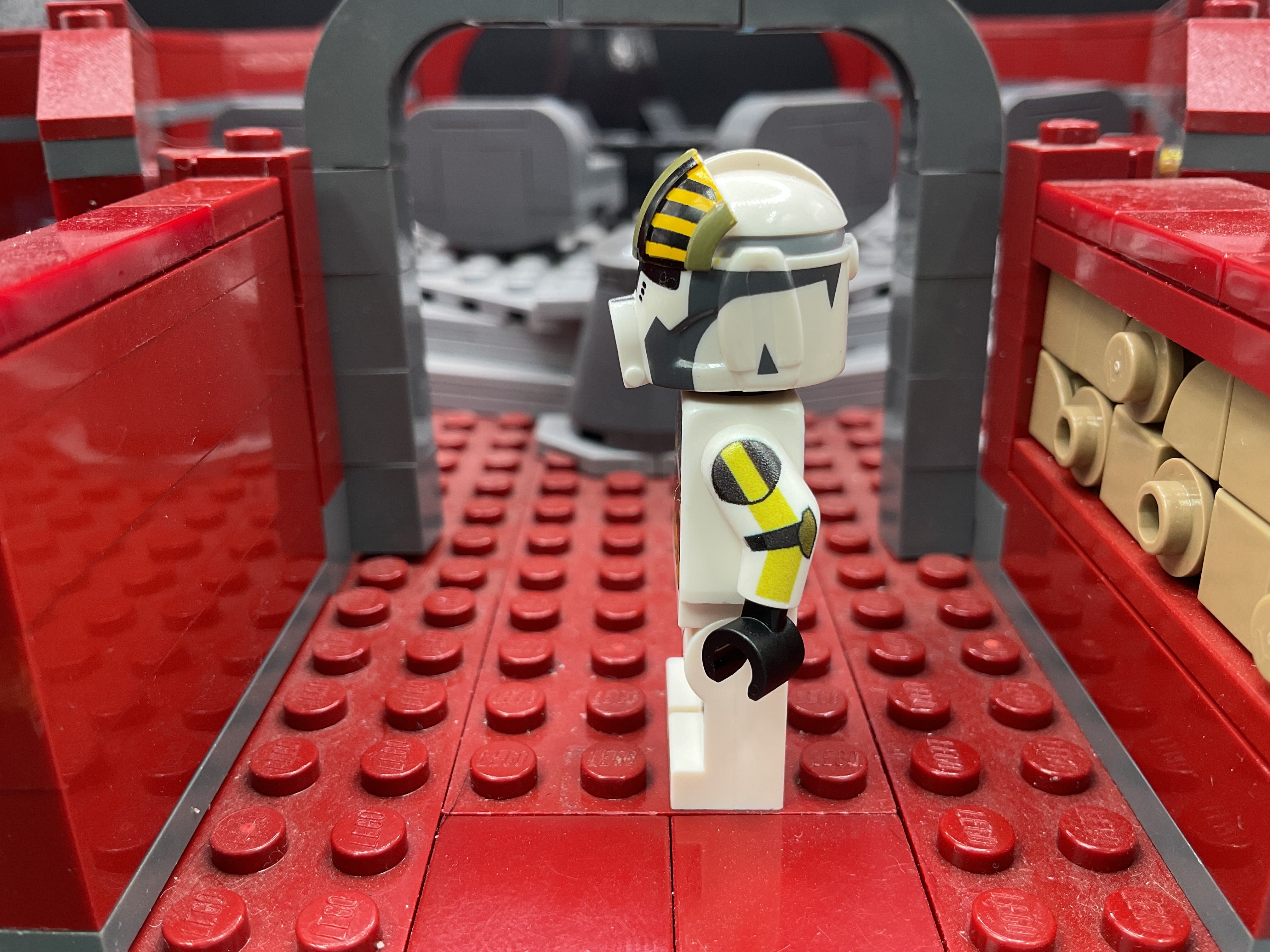 P2 Hazard