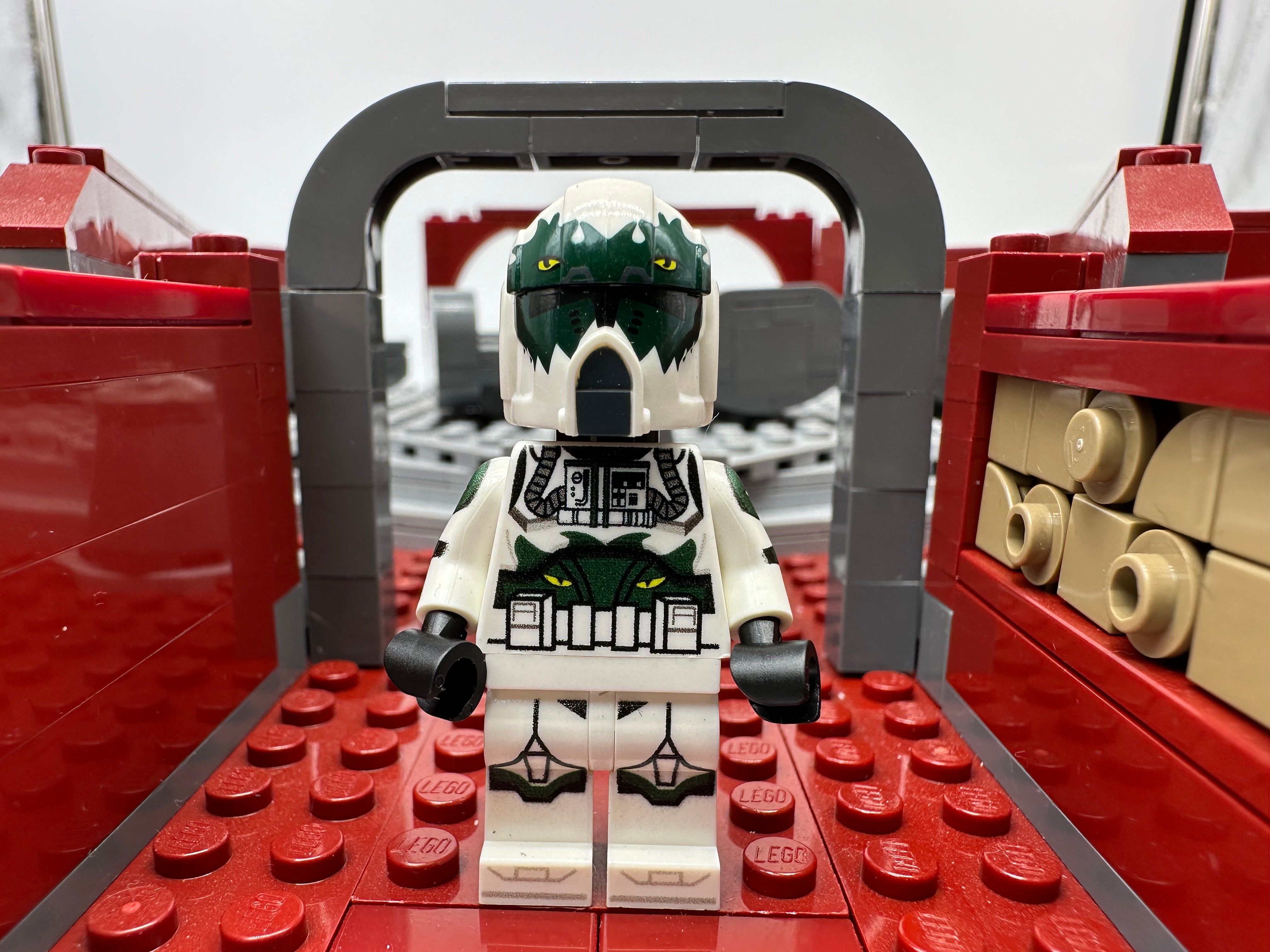 P2 pilot Goji