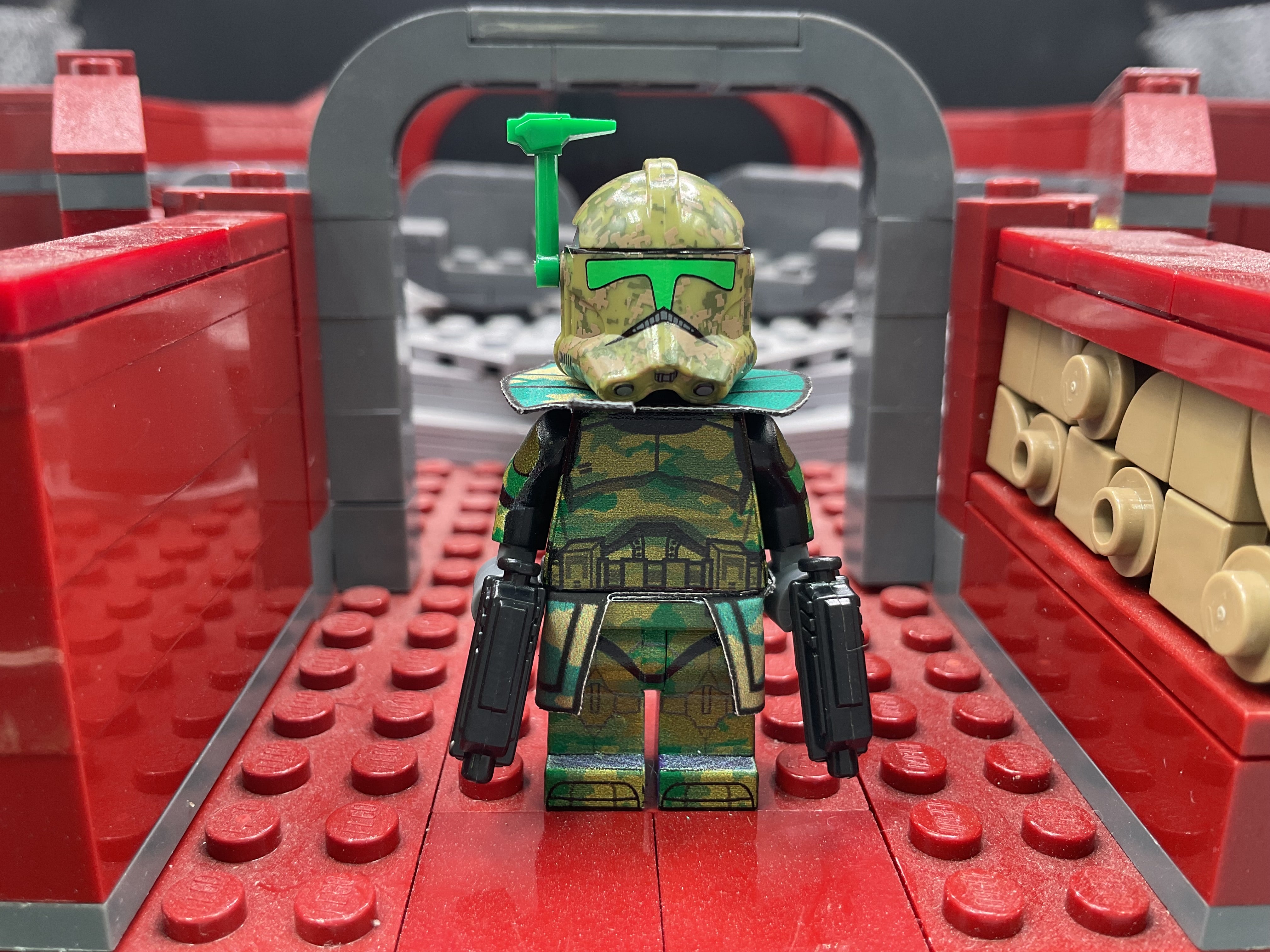 Kashyyyk Arc “Flinz”