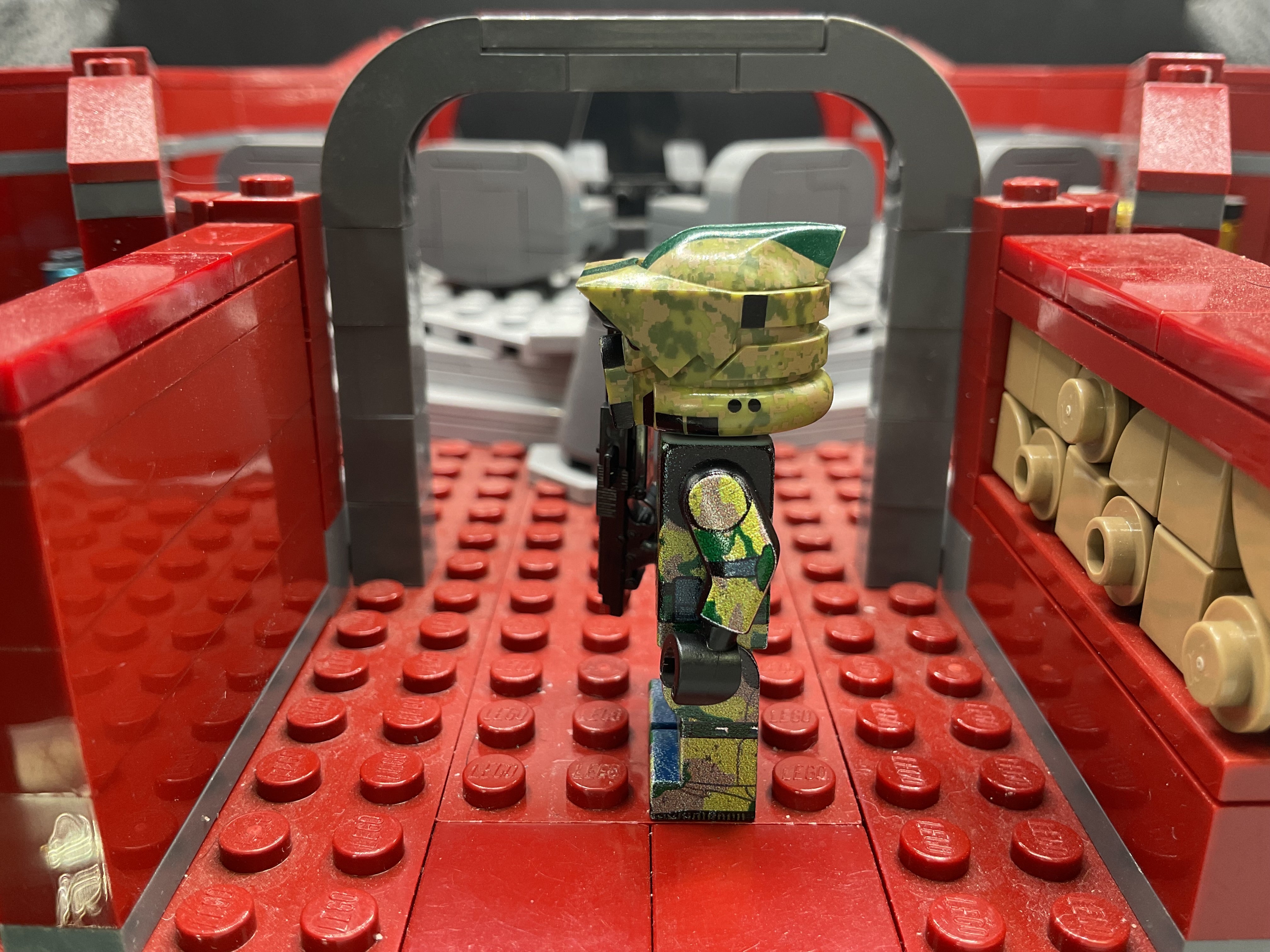 Kashyyyk Arf Trooper “Tarnung”