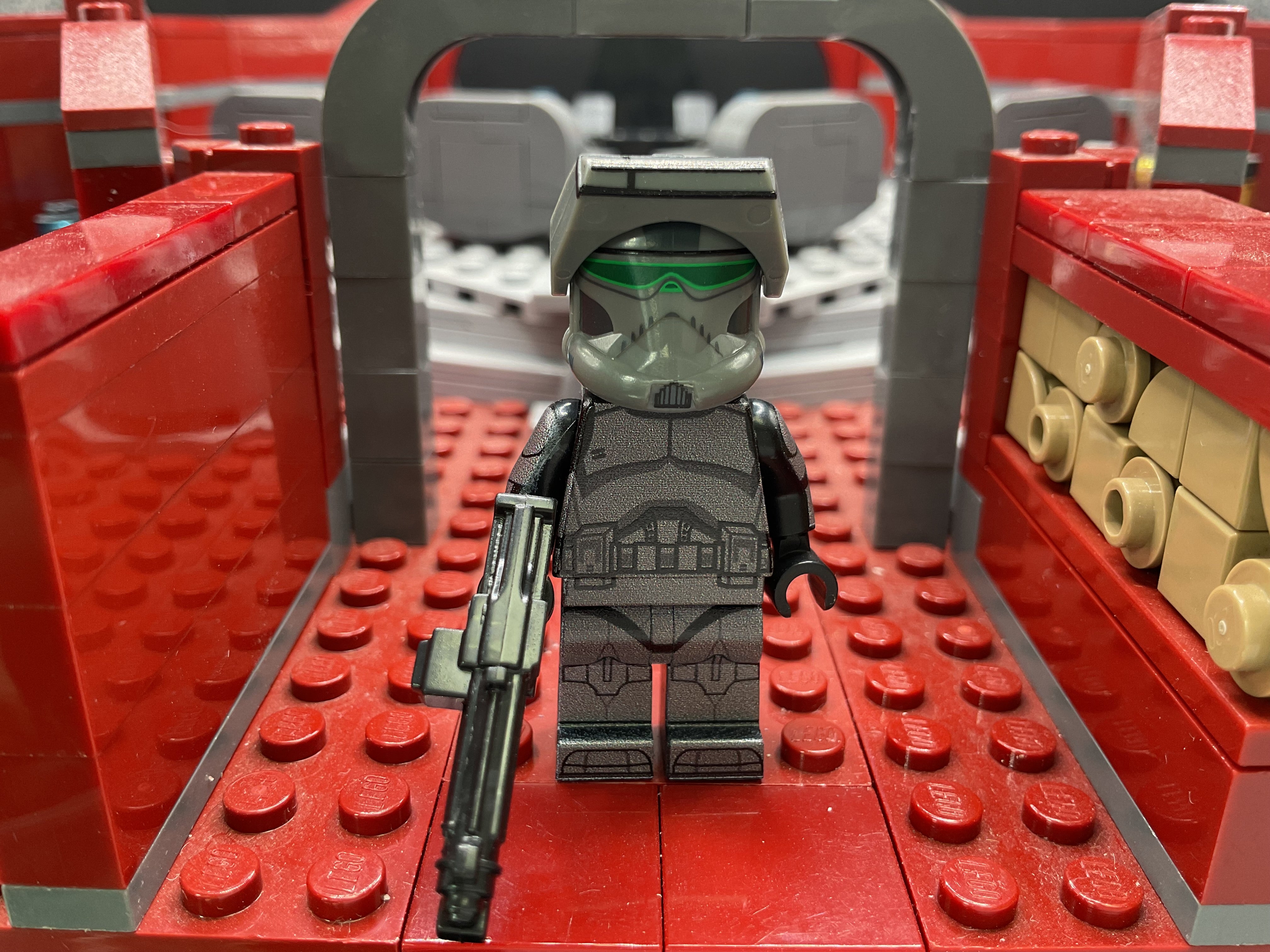 P2 Stealth Assassin