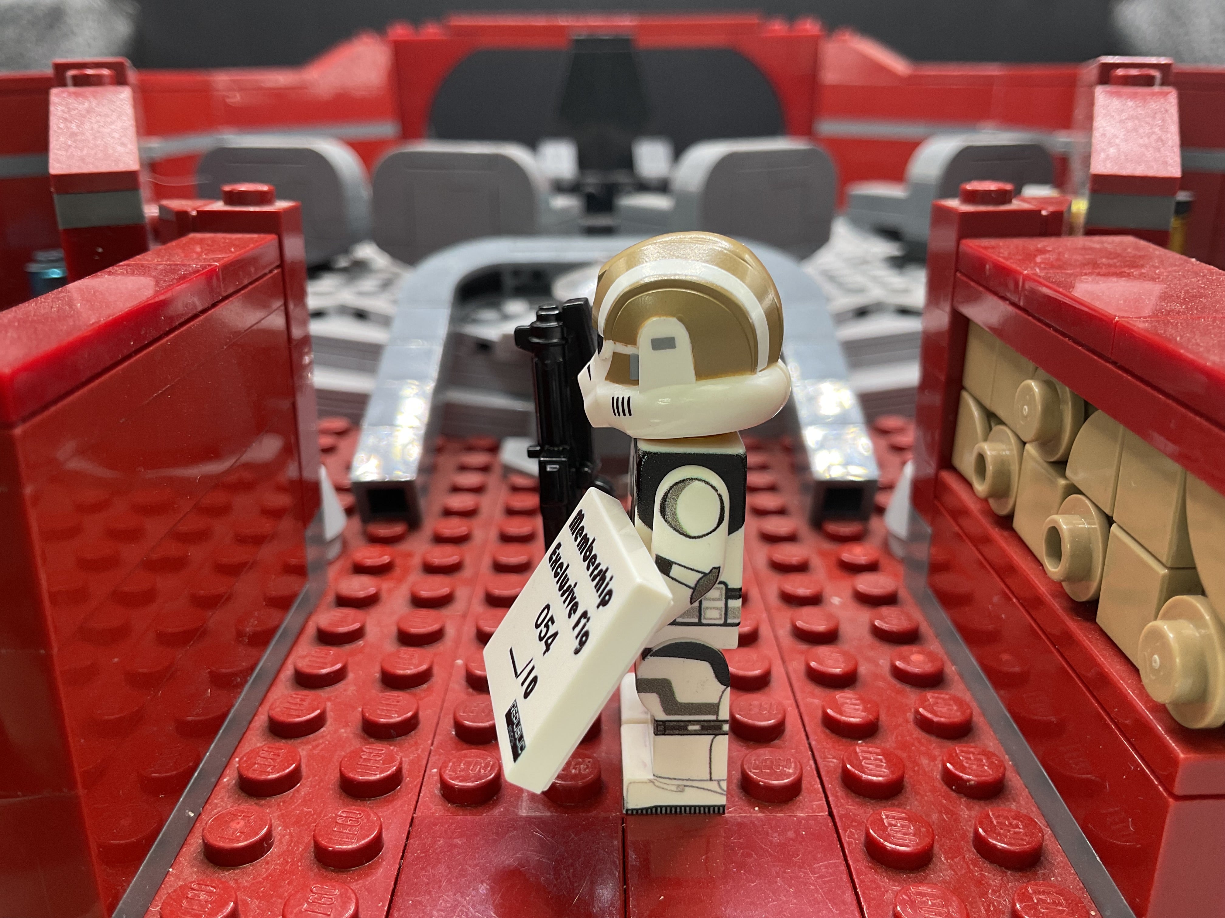 membership exclusive fig 054