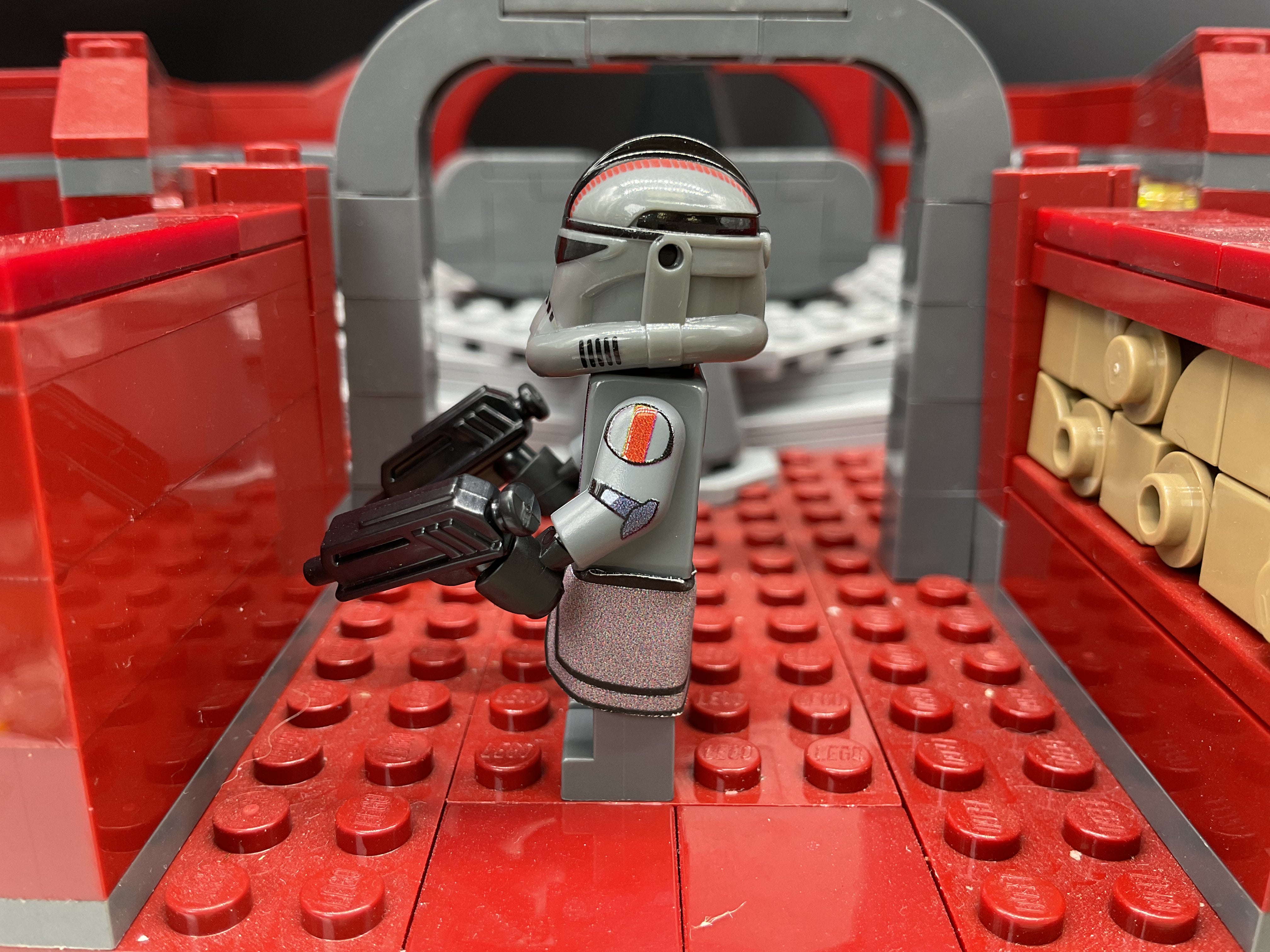 PROTOTYPE ECHO ASSAULT
