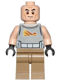 Commander Gregor Item No: sw0748