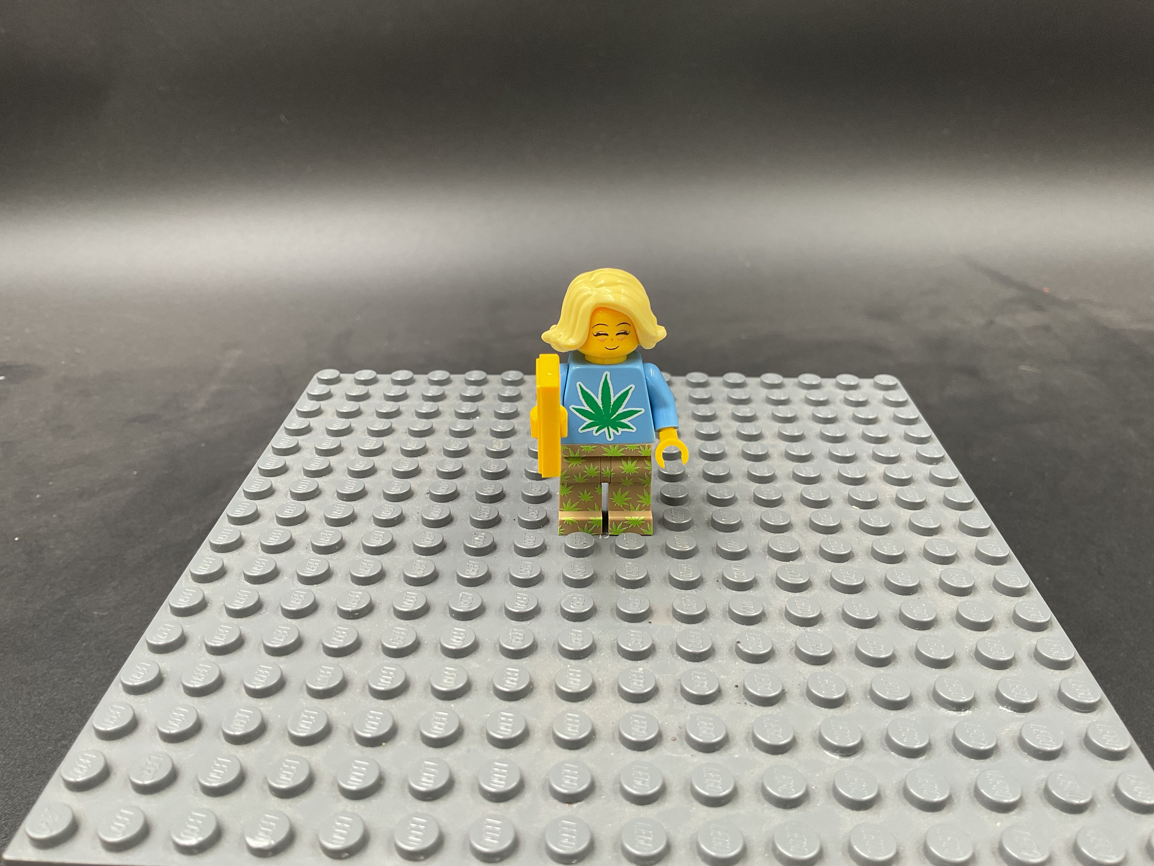 Custom Minifigure #033