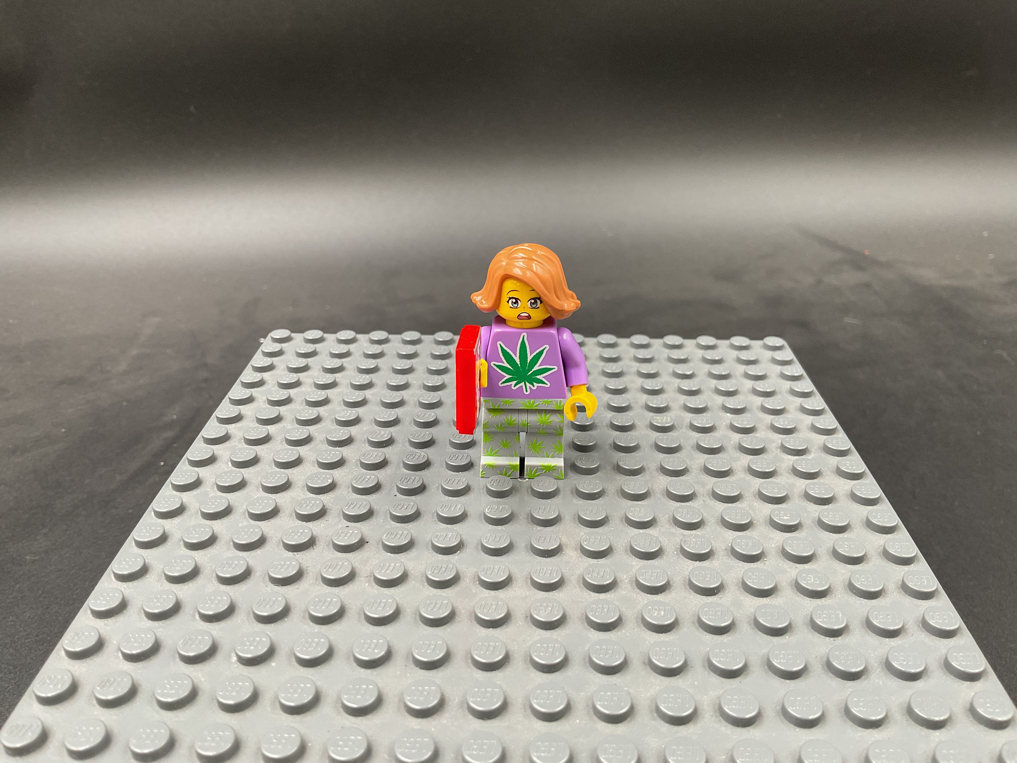 Custom Minifigure #037