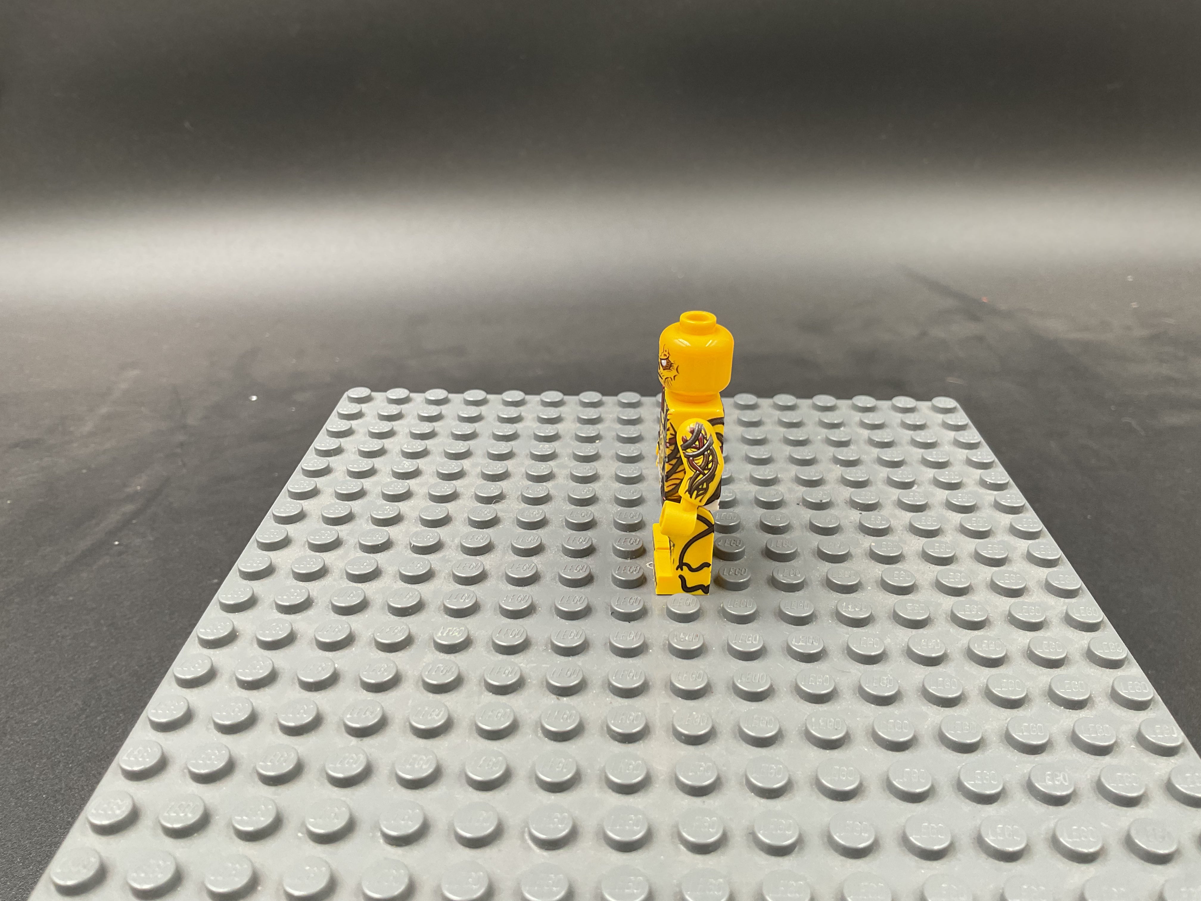 Custom Minifigure #048