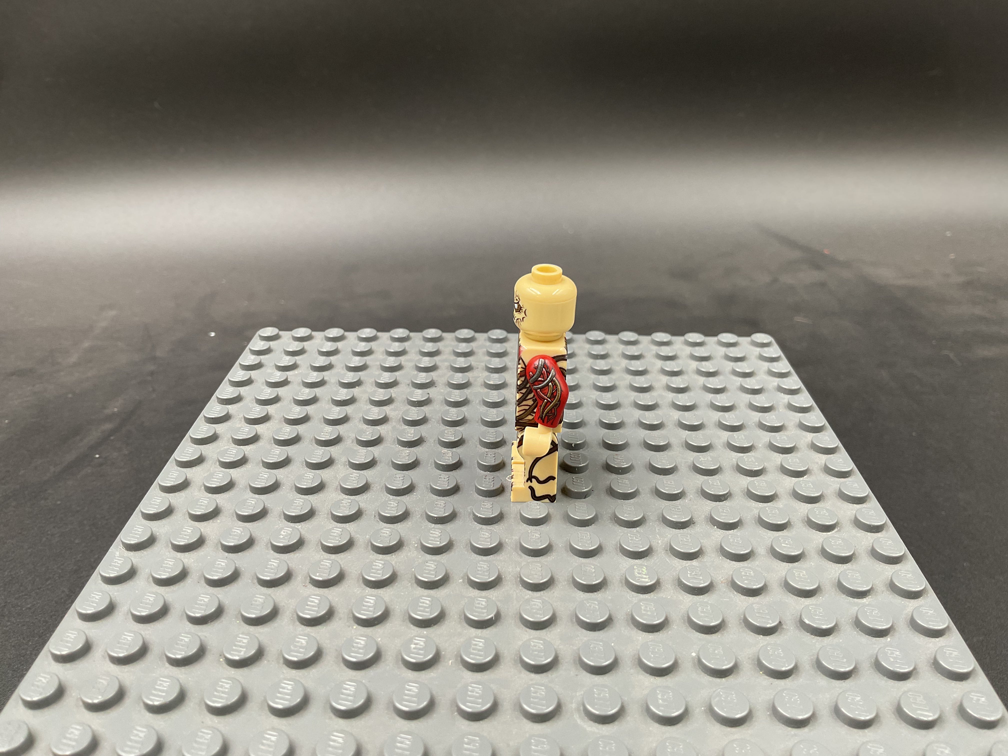 Custom Minifigure #047