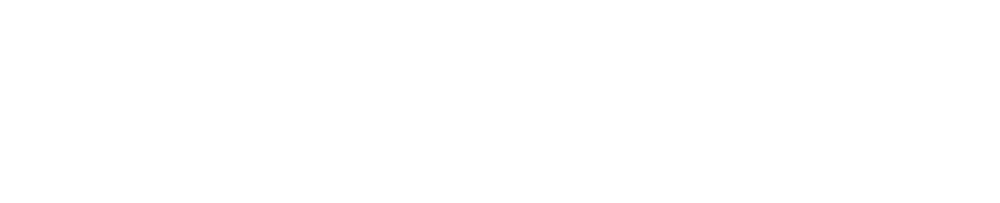 REPUBLICBRICKS logo