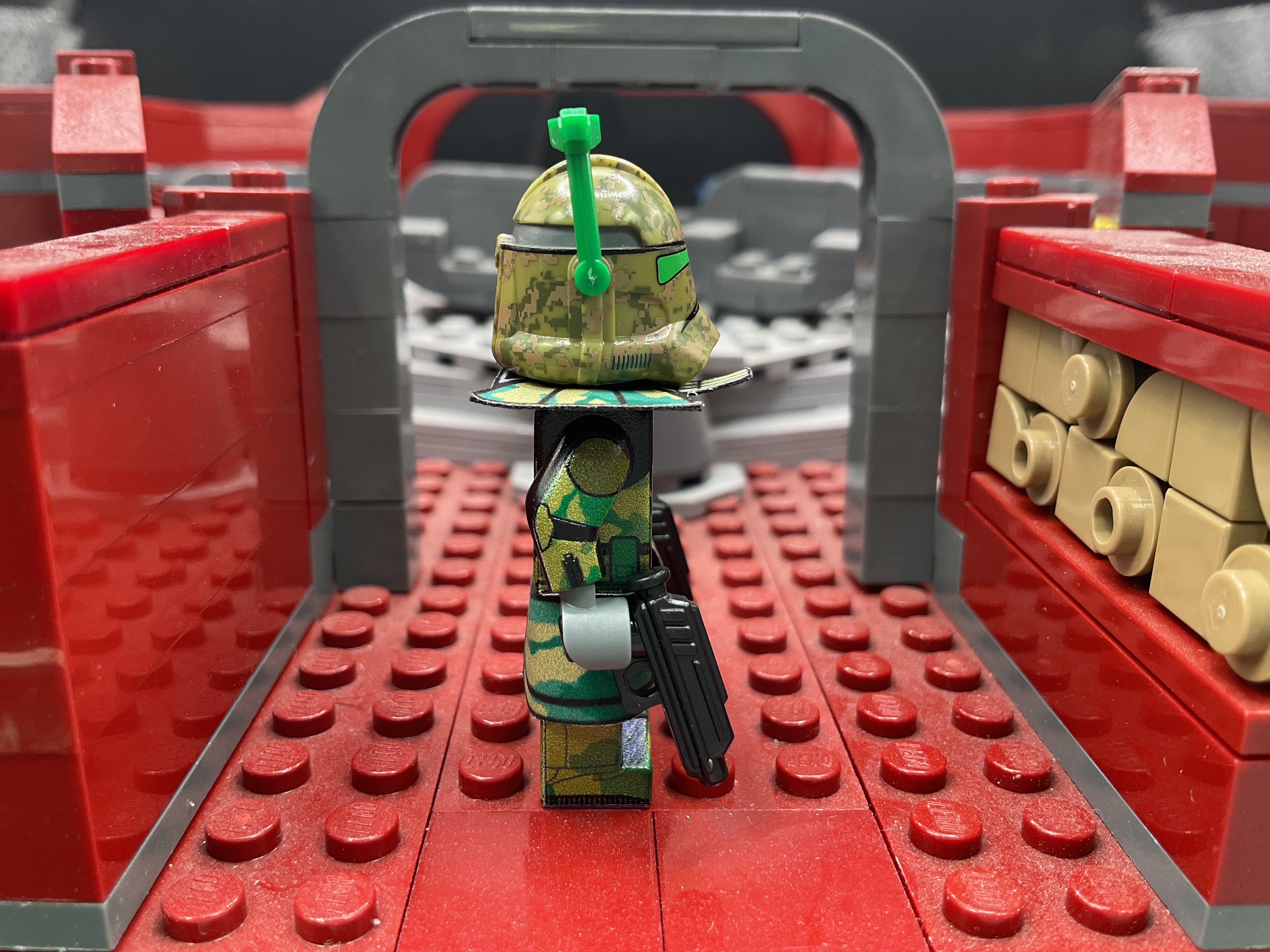 Kashyyyk Arc “Flinz”