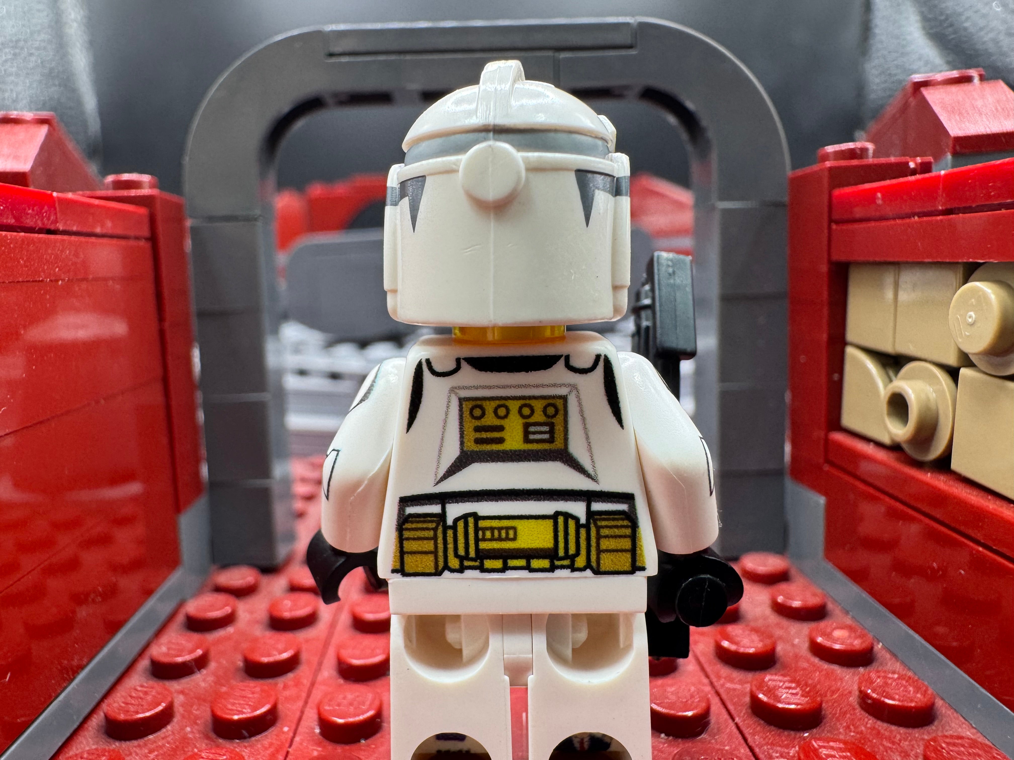 P2 Pilot Marsh