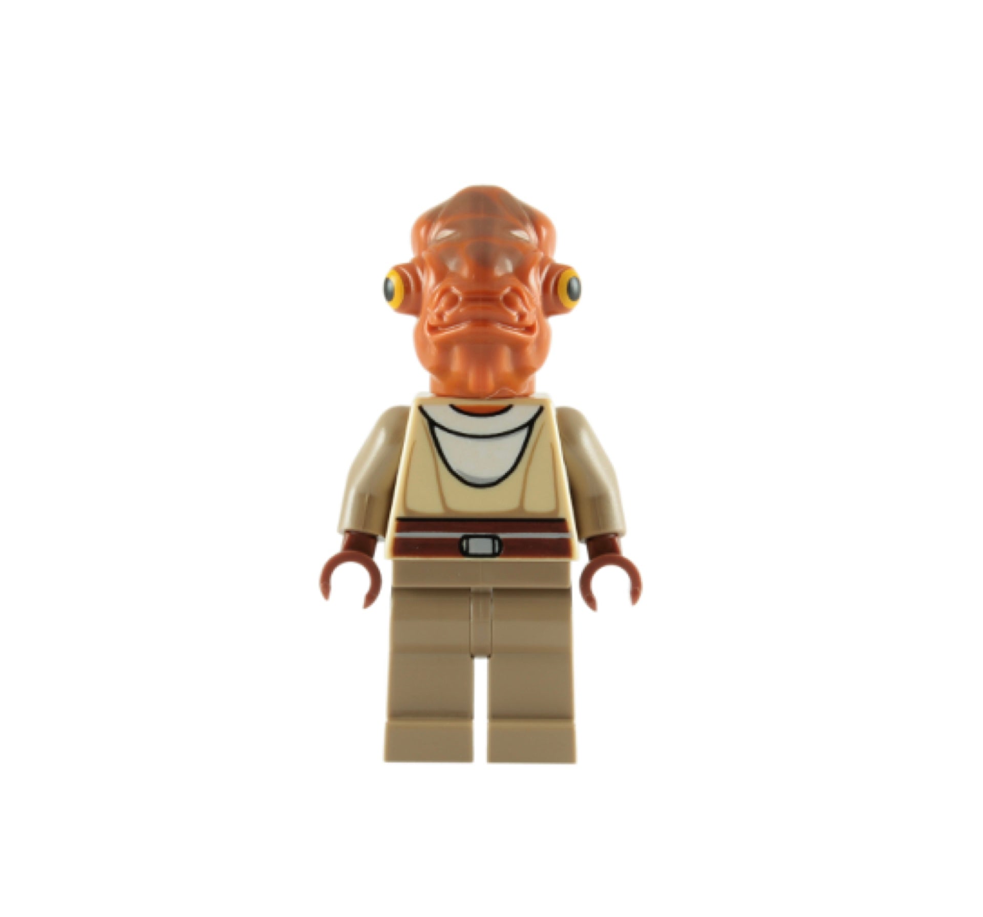 Nahdar Vebb Item No: sw0226