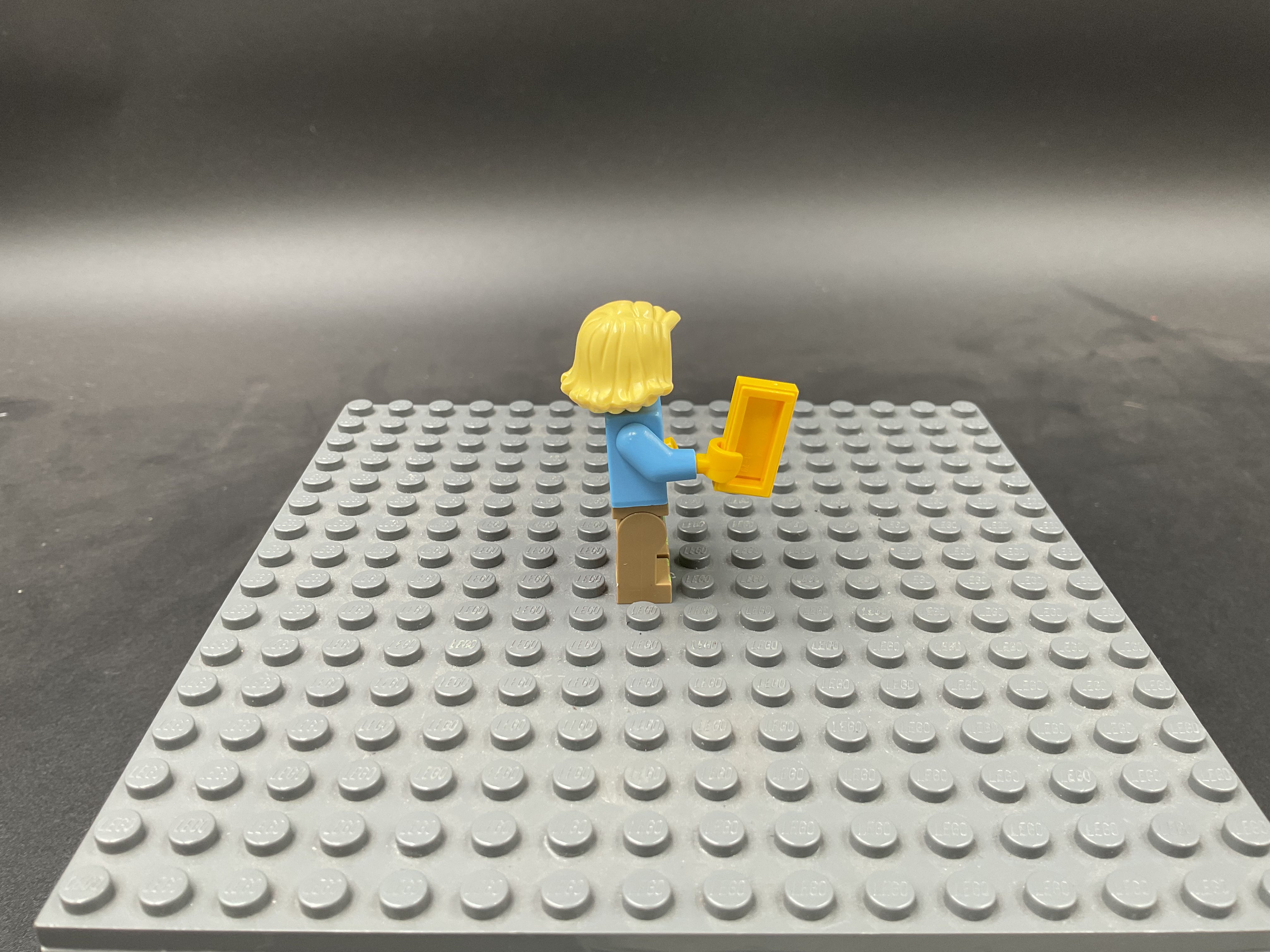 Custom Minifigure #033
