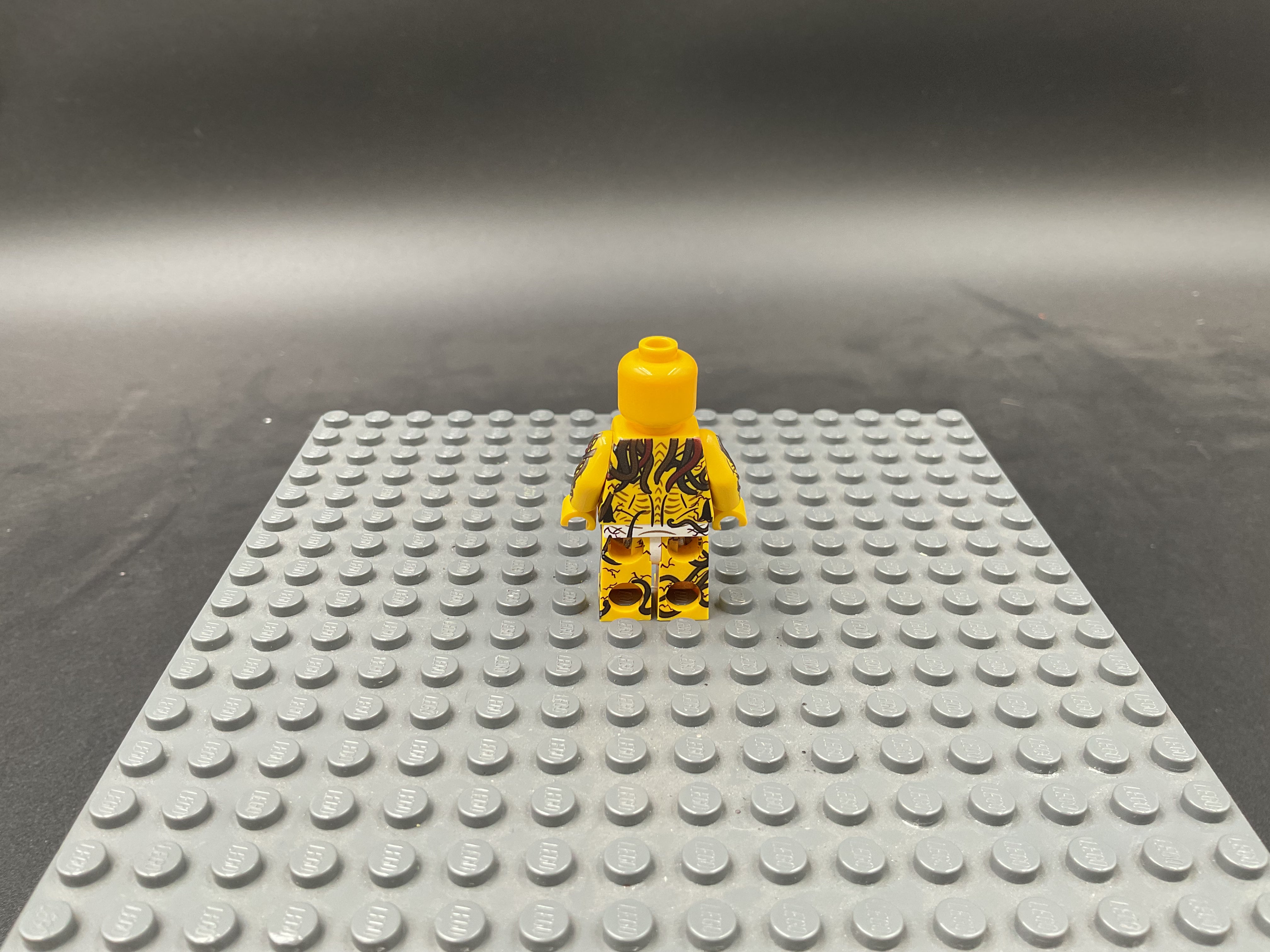 Custom Minifigure #048