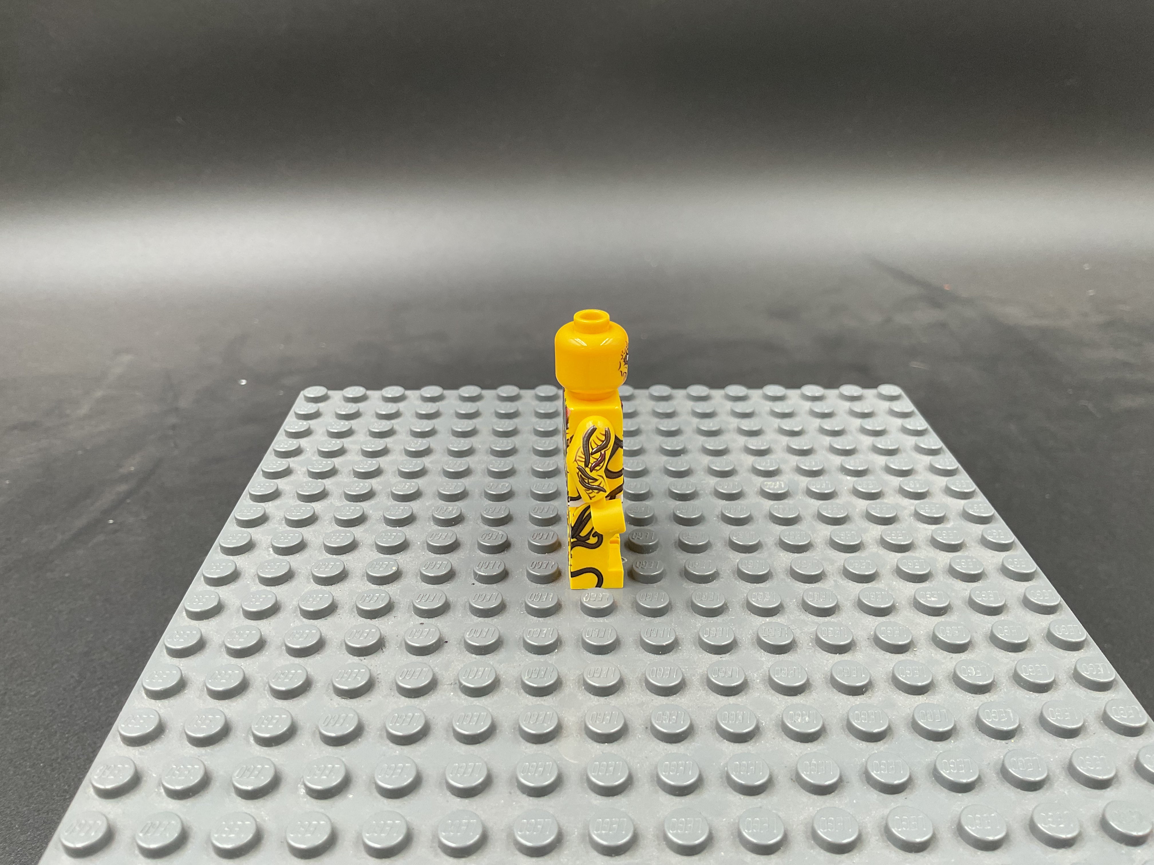 Custom Minifigure #048