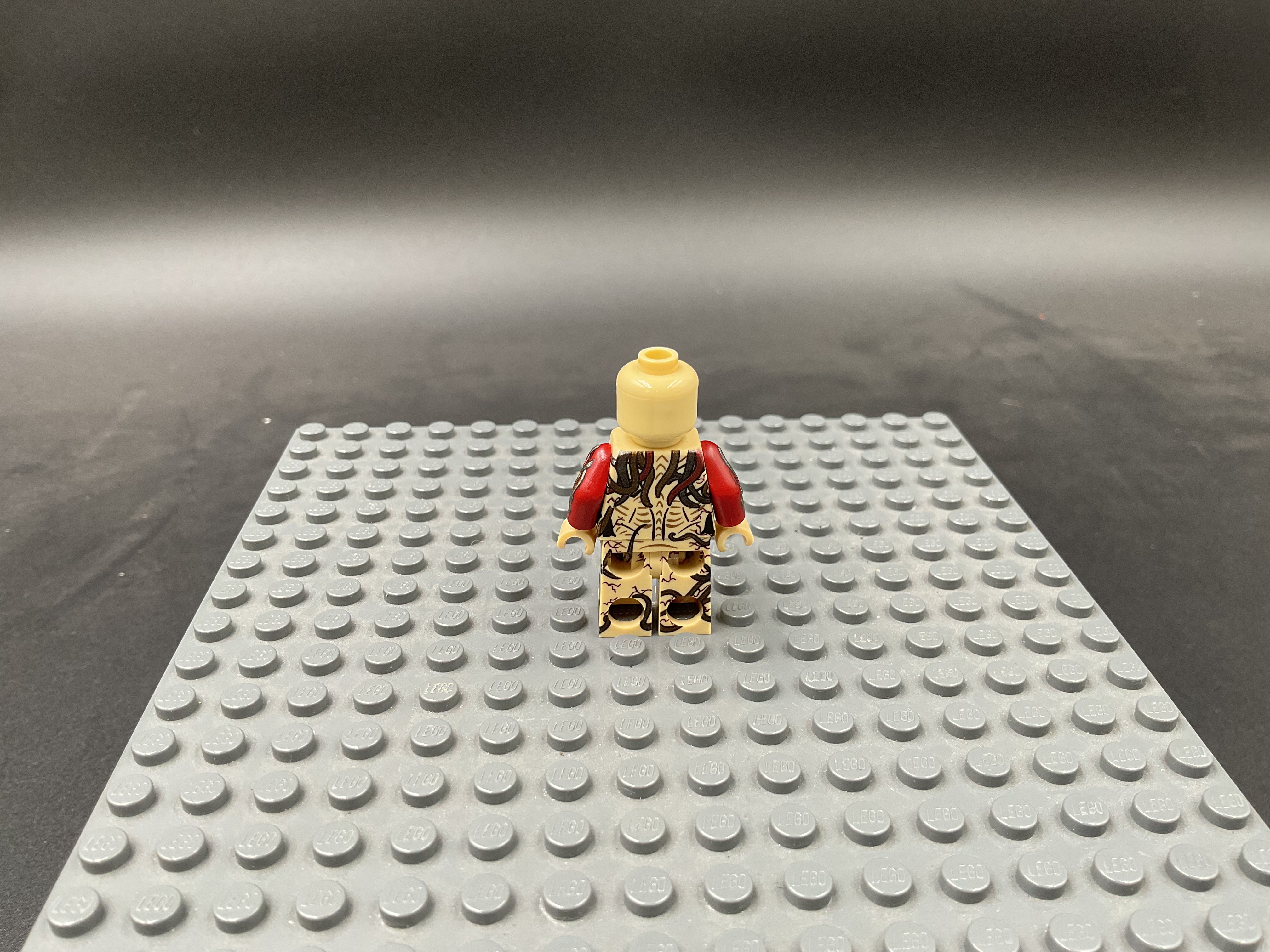 Custom Minifigure #047